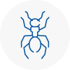 Ant Removals In Bramhope