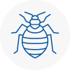 Bed Bug Extermination In Bramhope
