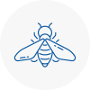 Bee Nest Removal Bramhope