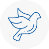 Bird Prevention Bramhope