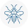 Bramhope Hornet Nest Removals
