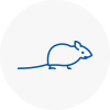 Mice Exterminators In Bramhope
