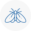 Moth Control Specialists In Bramhope