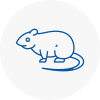 Rat Control Bramhope