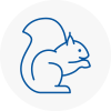 Bramhope Rodent Removals