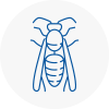 Bramhope Wasp Nest Removal